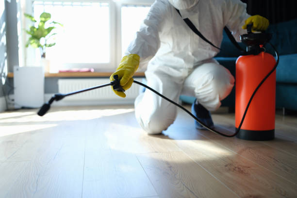 Reliable Odor Removal contractor in Mina, NV by Trauma Clean Pros